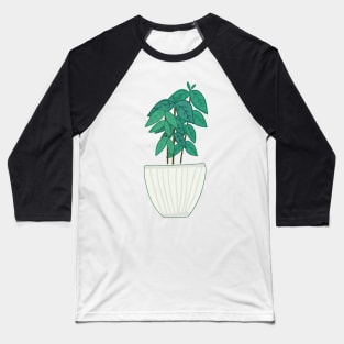 Coffee Plant Baseball T-Shirt